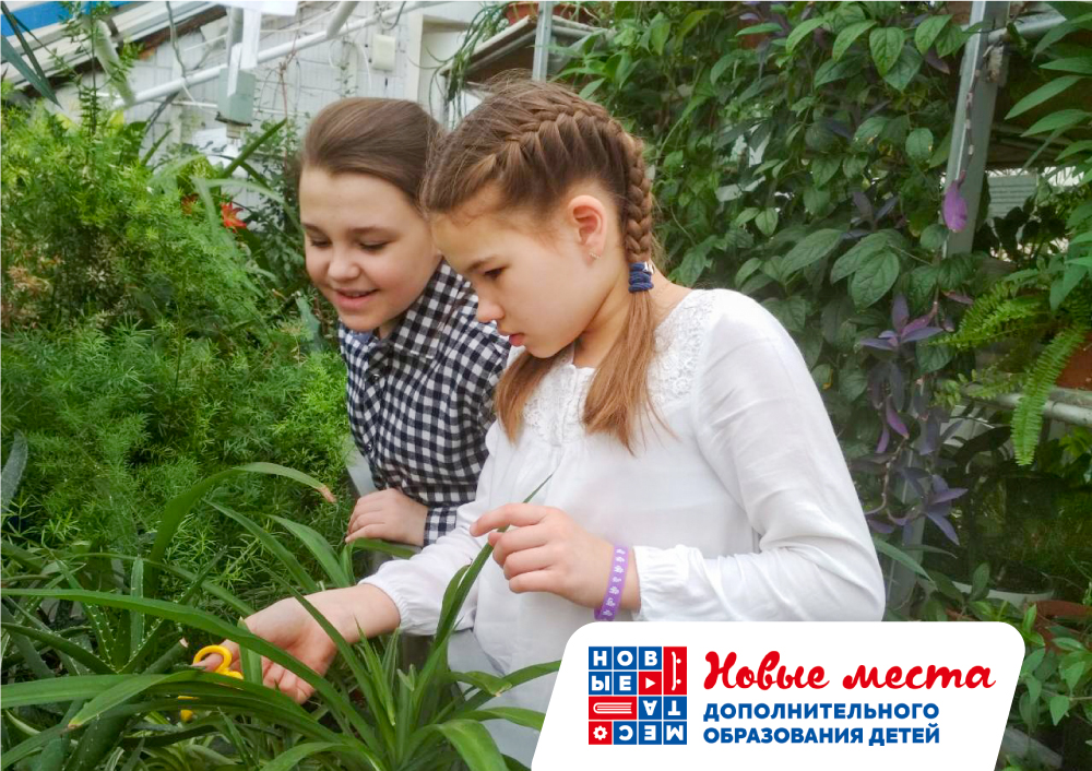 Новые образовательные программы в «ТАУ»