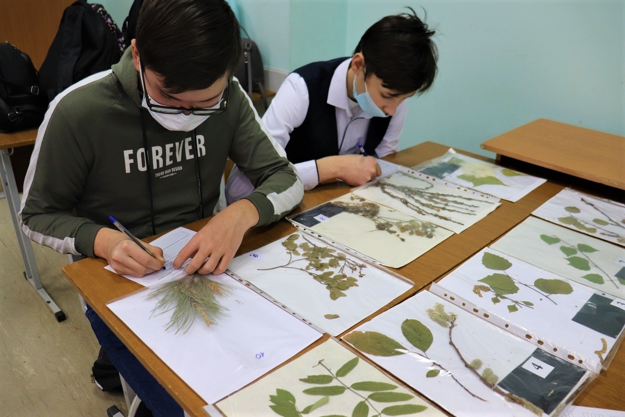 Подведены итоги Республиканской олимпиады школьников по лесоводству