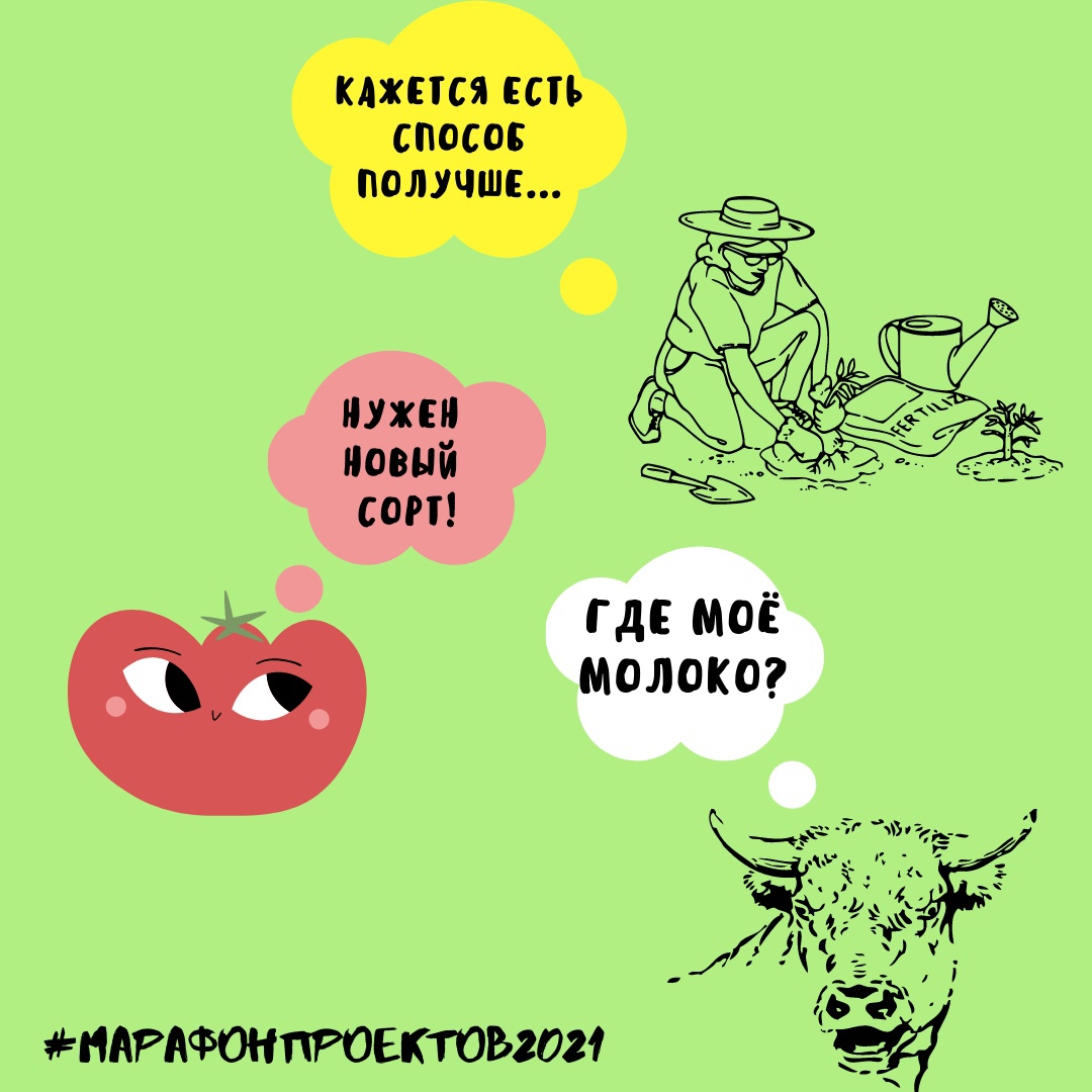 Финал конкурса «Марафон проектов» 