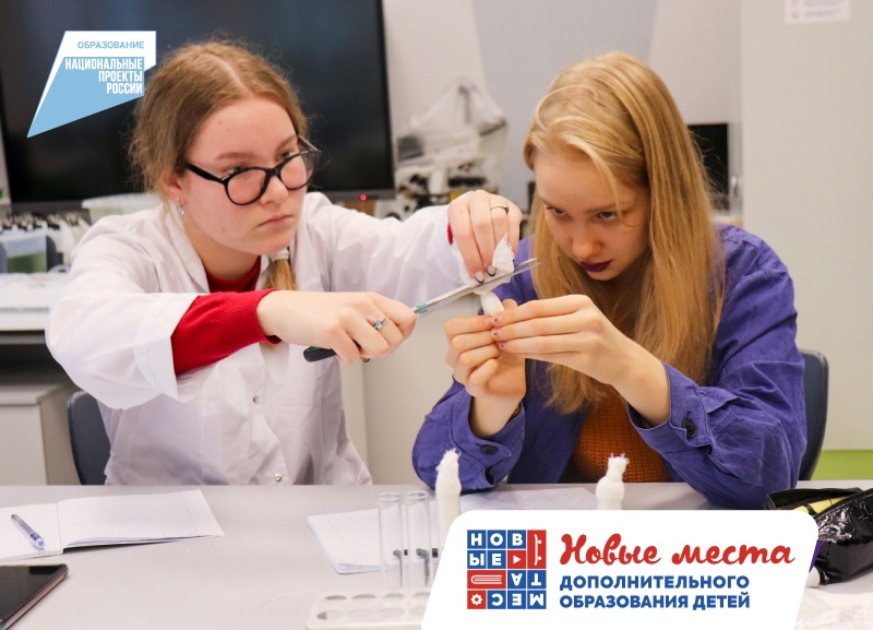 На занятиях «Биохакинг» школьники пересевали культуры непатогенных микроорганизмов