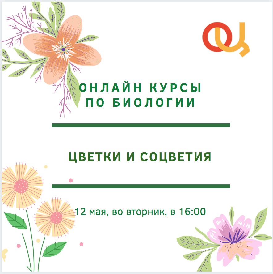 Приглашаем на онлайн занятие по биологии на тему «Цветки и соцветия» от Регионального олимпиадного центра МО