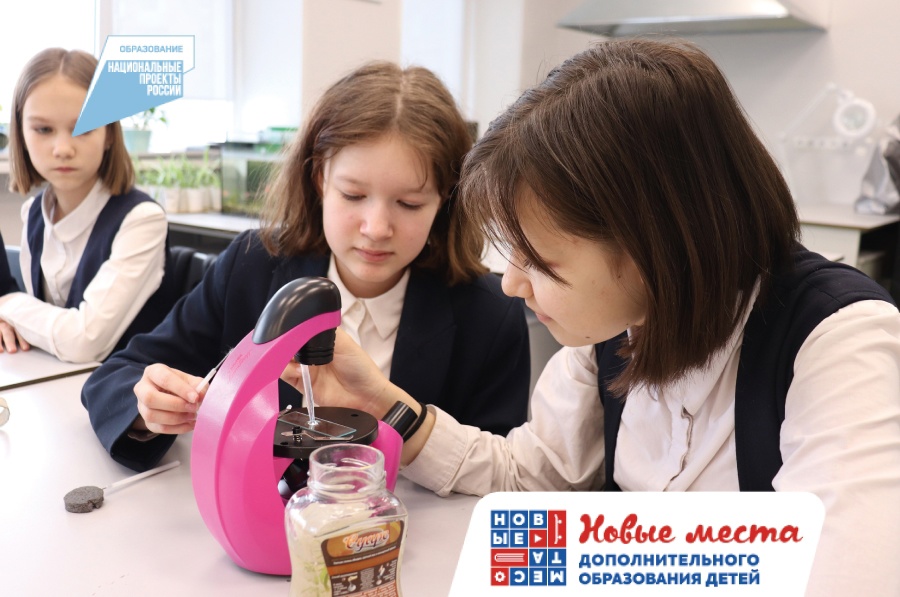 Участники программы «Экологическая академия» учатся технике микроскопирования