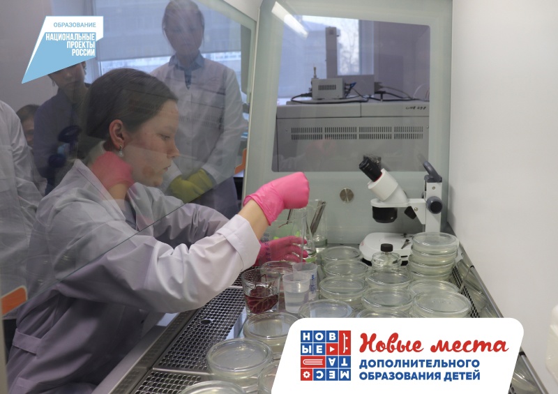 Школьники практикуются в микроклональном размножении растений