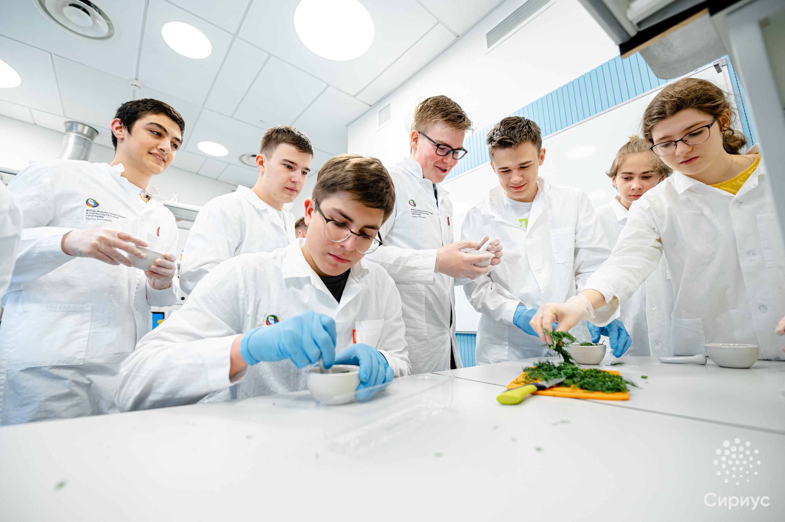 Регистрируйся на образовательную программу «Агробиология и генетика растений» в «Сириус»