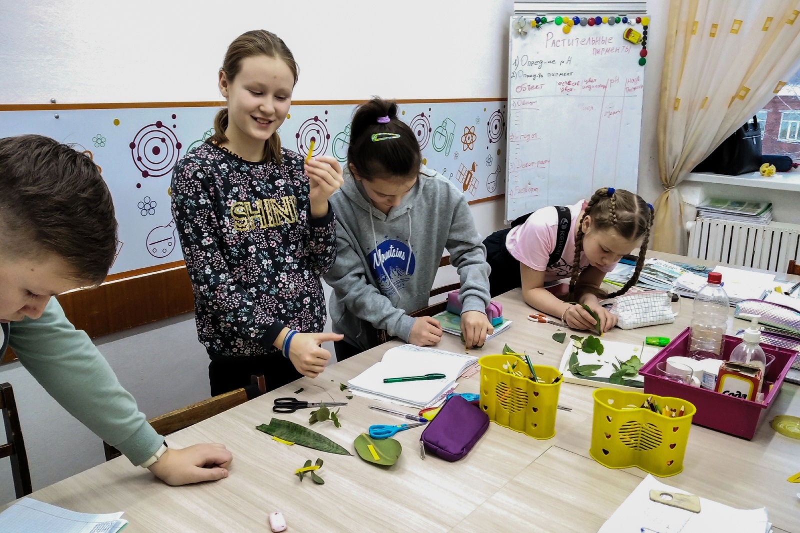 В Можге школьники изучают «Мир растений в опытах и экспериментах»