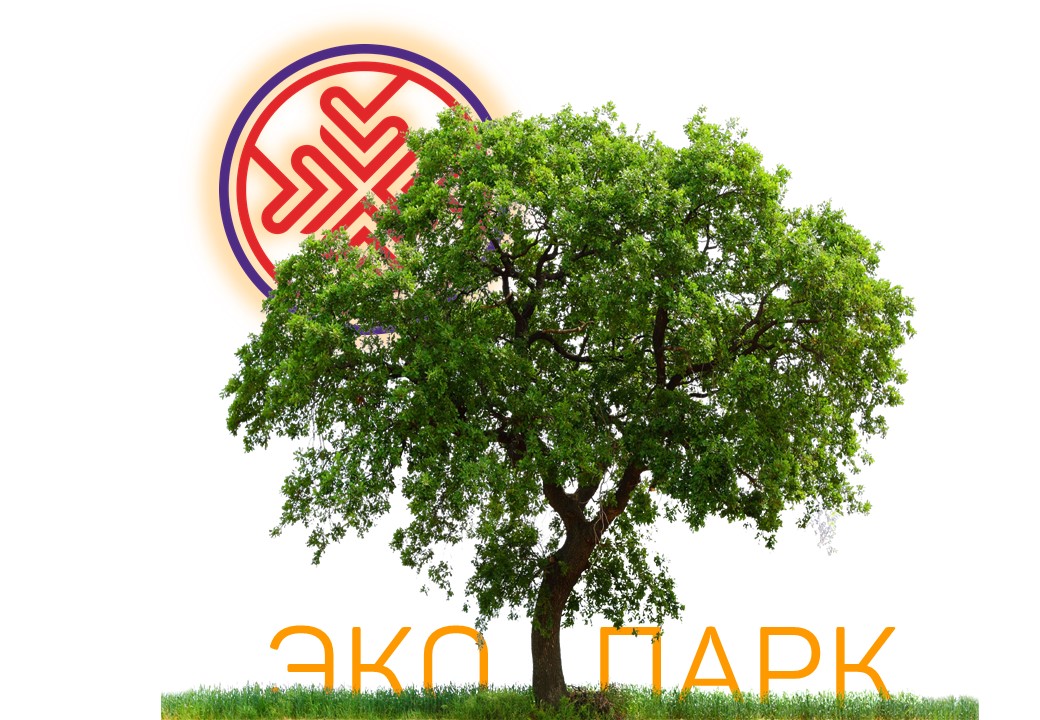 Приглашаем на открытие Кейс-чемпионата «ЭКОПАРК»