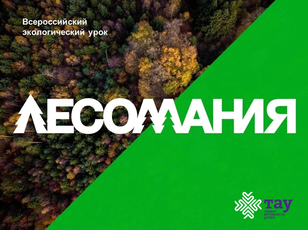 Приглашаем на Всероссийский творческий экологический конкурс «Лесомания»
