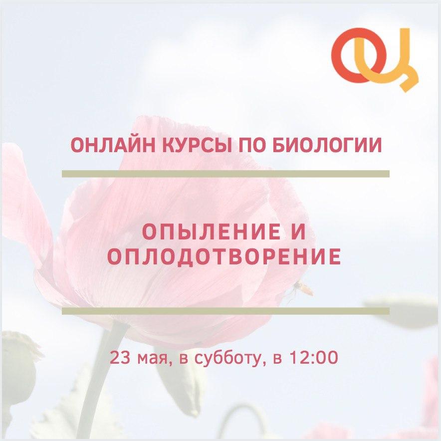 Приглашаем присоединиться к онлайн-занятию Регионального олимпиадного центра Московской области по биологии