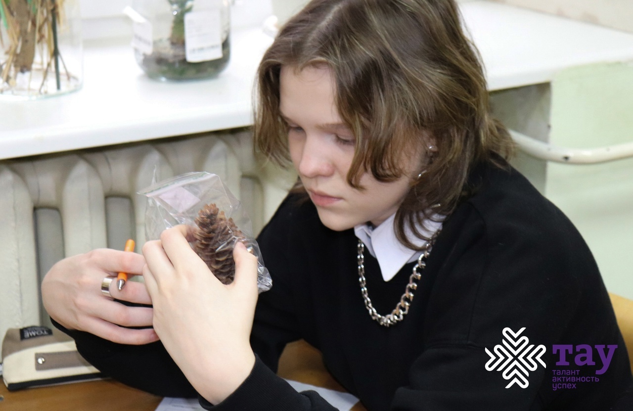 Итоги Республиканской олимпиады школьников по лесоводству